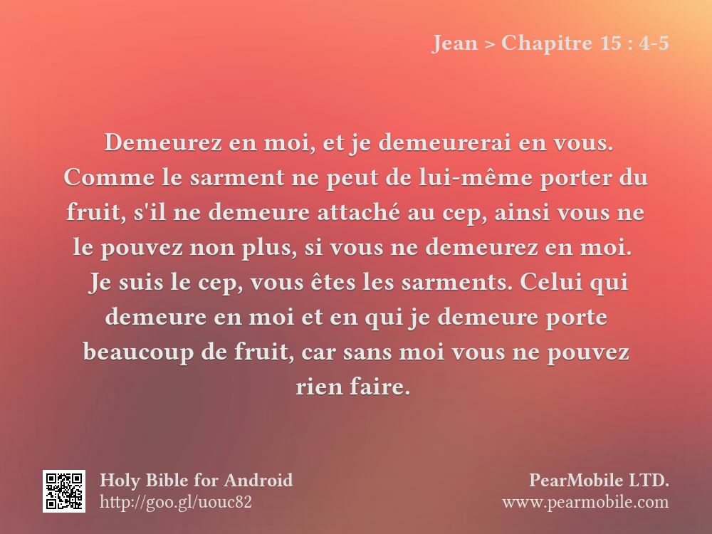 Jean, Chapitre 15:4-5